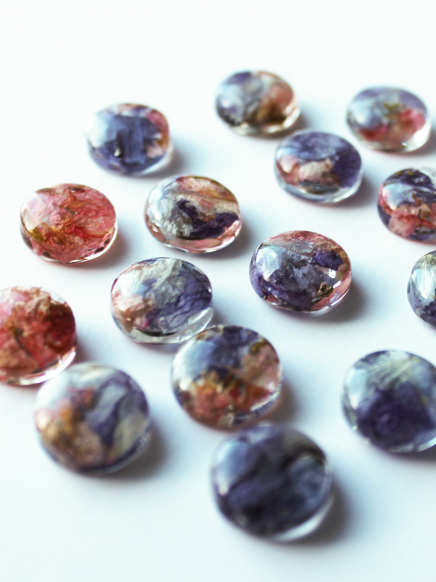 Pelargoni+Kukonkannus