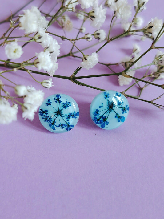 Koiranputkinapit, eri värejä