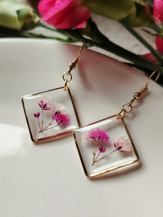 Harsokukat kehyksessä