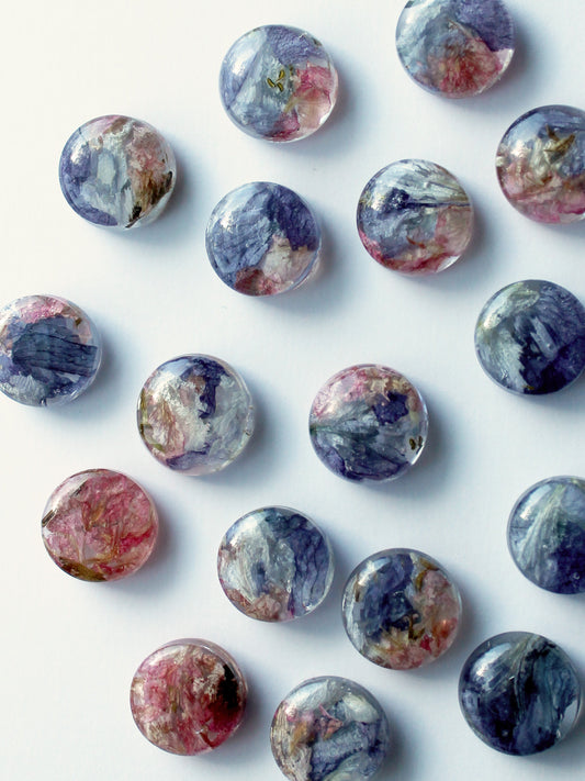 Pelargoni+Kukonkannus