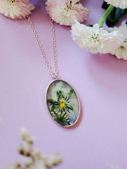 Orvokkiriipus hopeaosilla, eri värejä