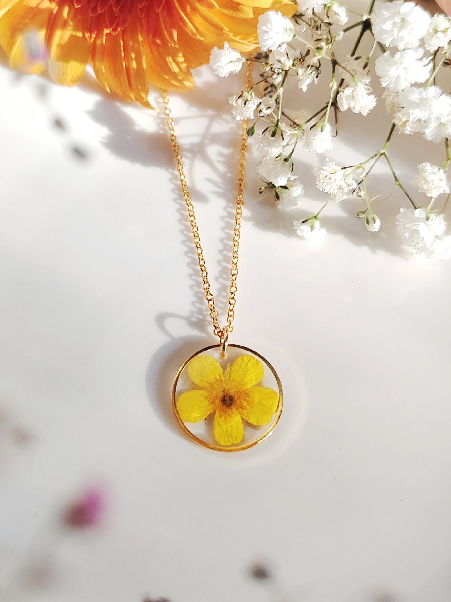 Niittyleinikkiriipus