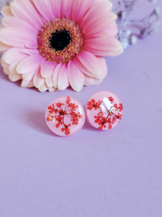 Koiranputkinapit, eri värejä