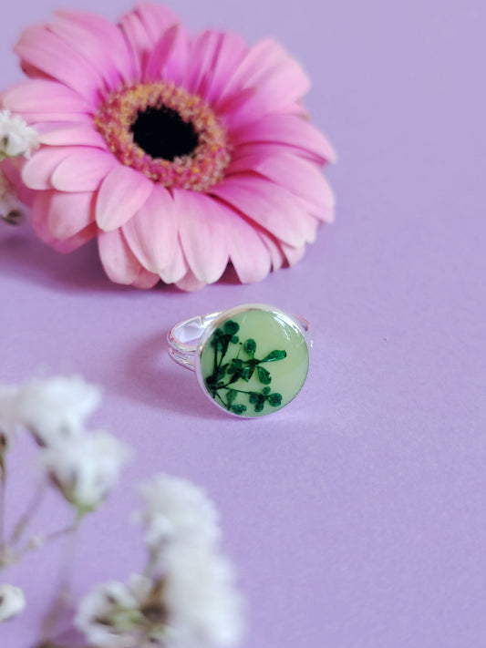 Koiranputkisormus, eri värejä