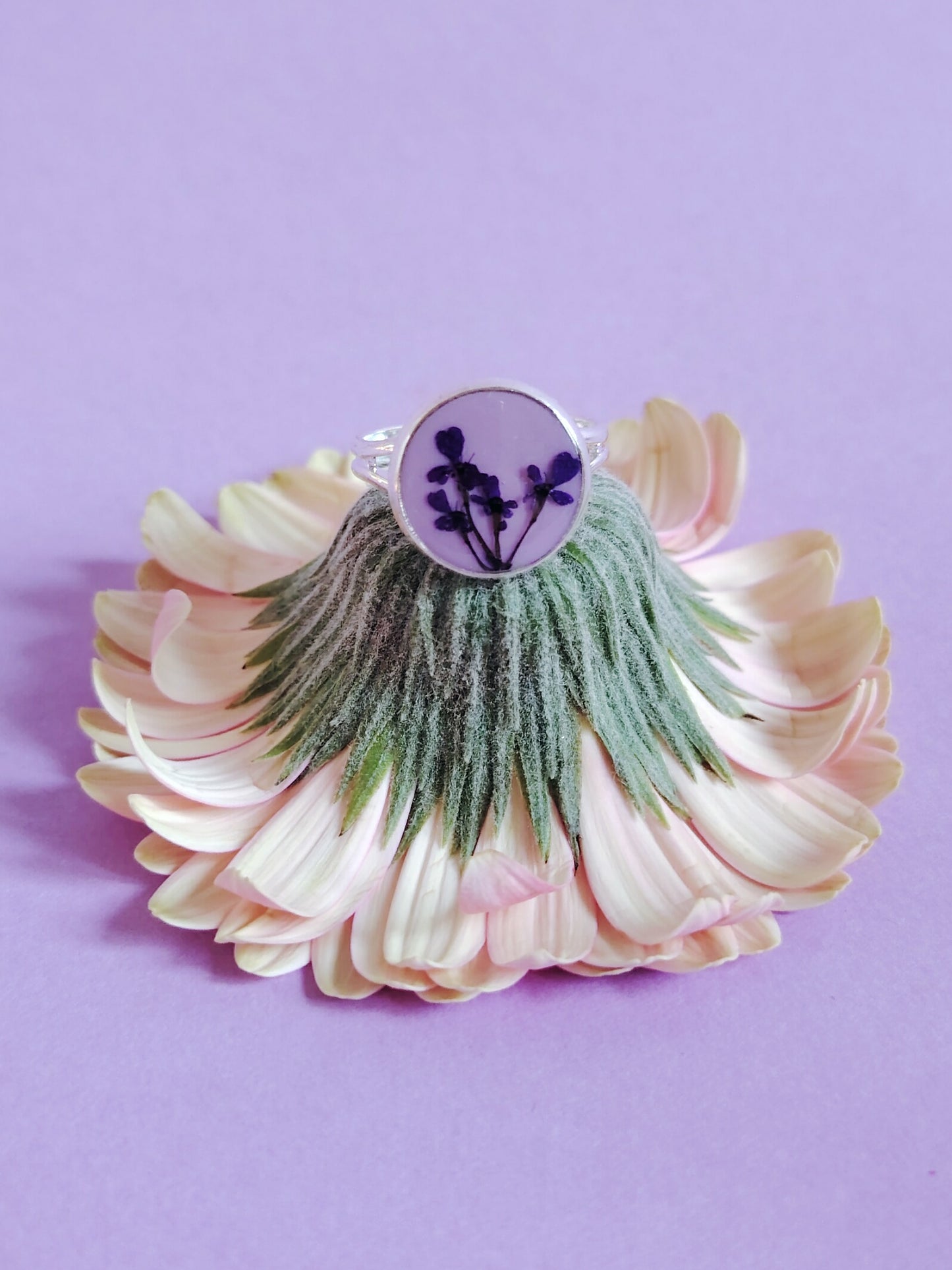 Koiranputkisormus, eri värejä